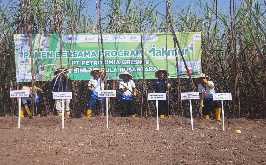 Program Makmur di Mojokerto Hasilkan Panen Tebu 160 Ribu Ton