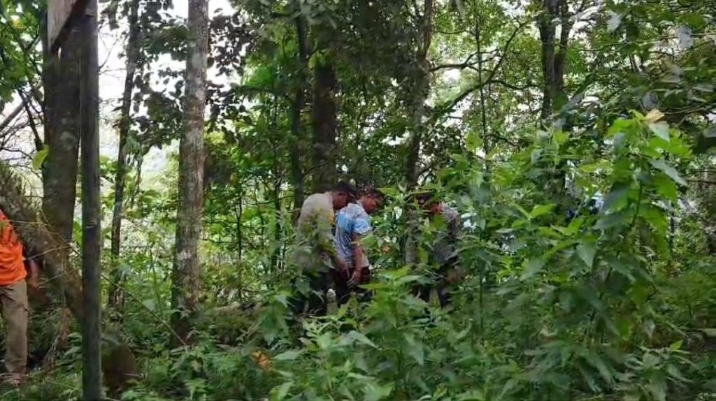 Mayat Pria yang Ditemukan di Tahura Raden Soerjo Mojokerto Diduga Disengat Tawon