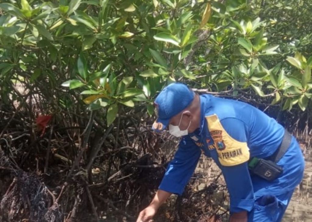 Pria Diduga asal Bekasi Ditemukan Tewas Tinggal Kerangka di Pulau Bawean