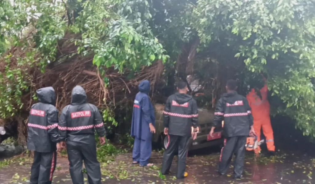Pohon Tumbang Timpa Mobil Satpol PP dan Motor saat Hujan Angin di Surabaya