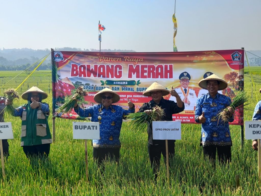 Panen Bawang Merah di Blitar, Pemkab Perkuat Dukungan bagi Petani