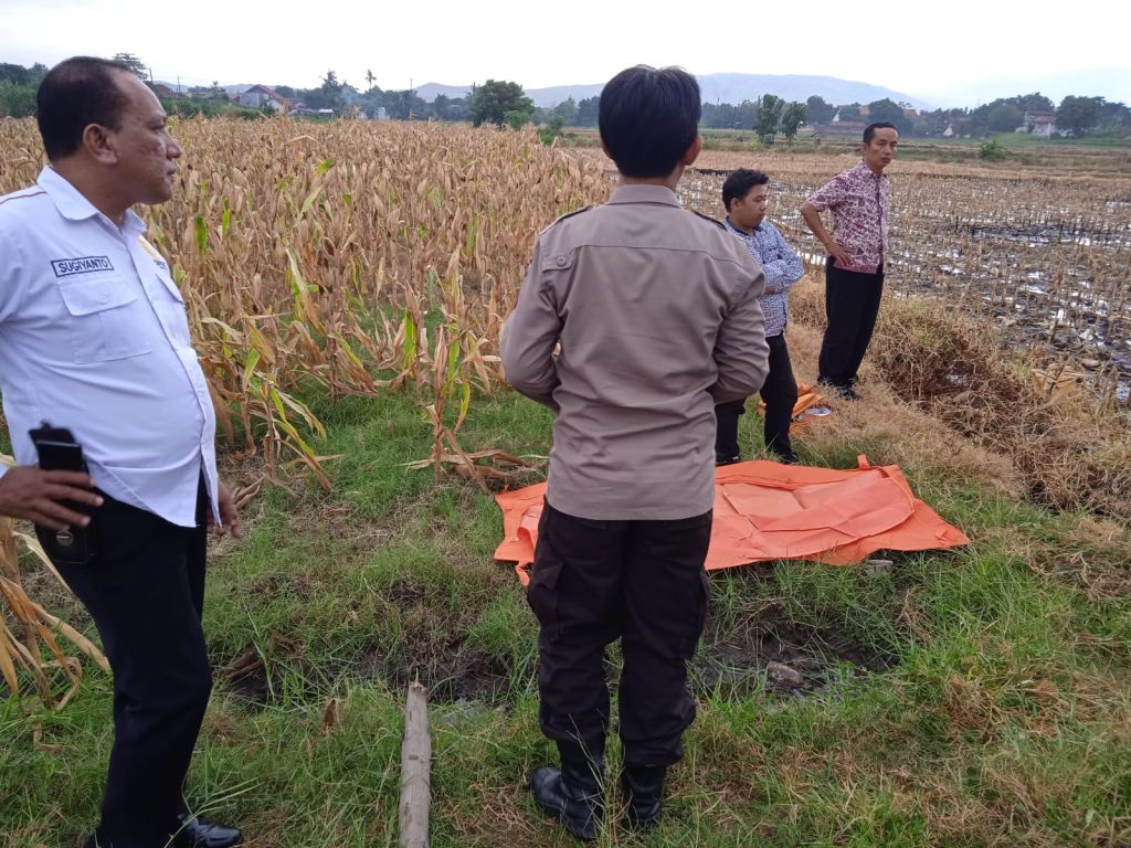 Pamit Bajak Sawah, Warga Bondowoso Tewas di Persawahan Situbondo