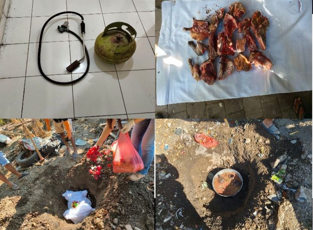 Pensiunan PNS Jagal Anjing di Bali Ditangkap: Dagingnya Dijual, Beraksi Sejak 2021