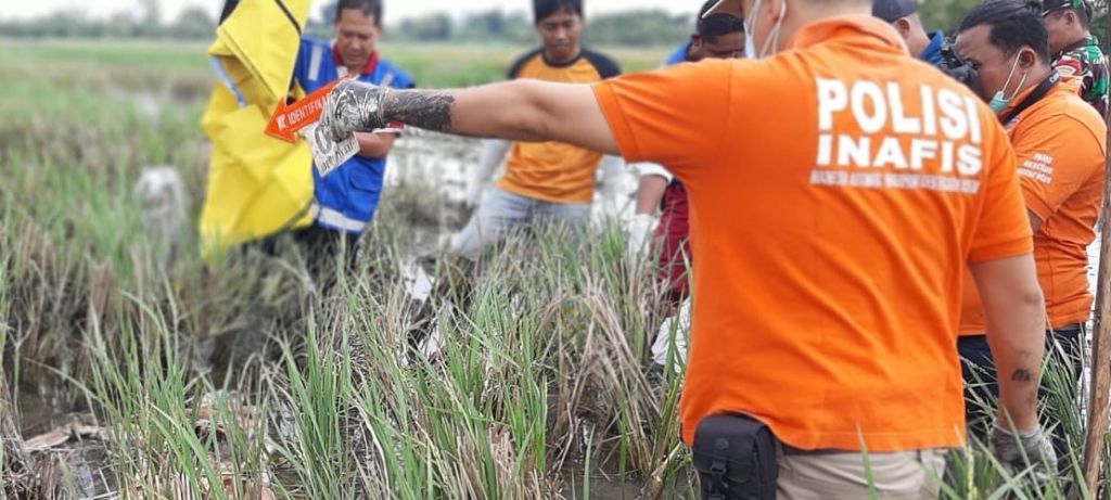 Bajak Sawah, Petani Sidoarjo Temukan Kerangka Manusia