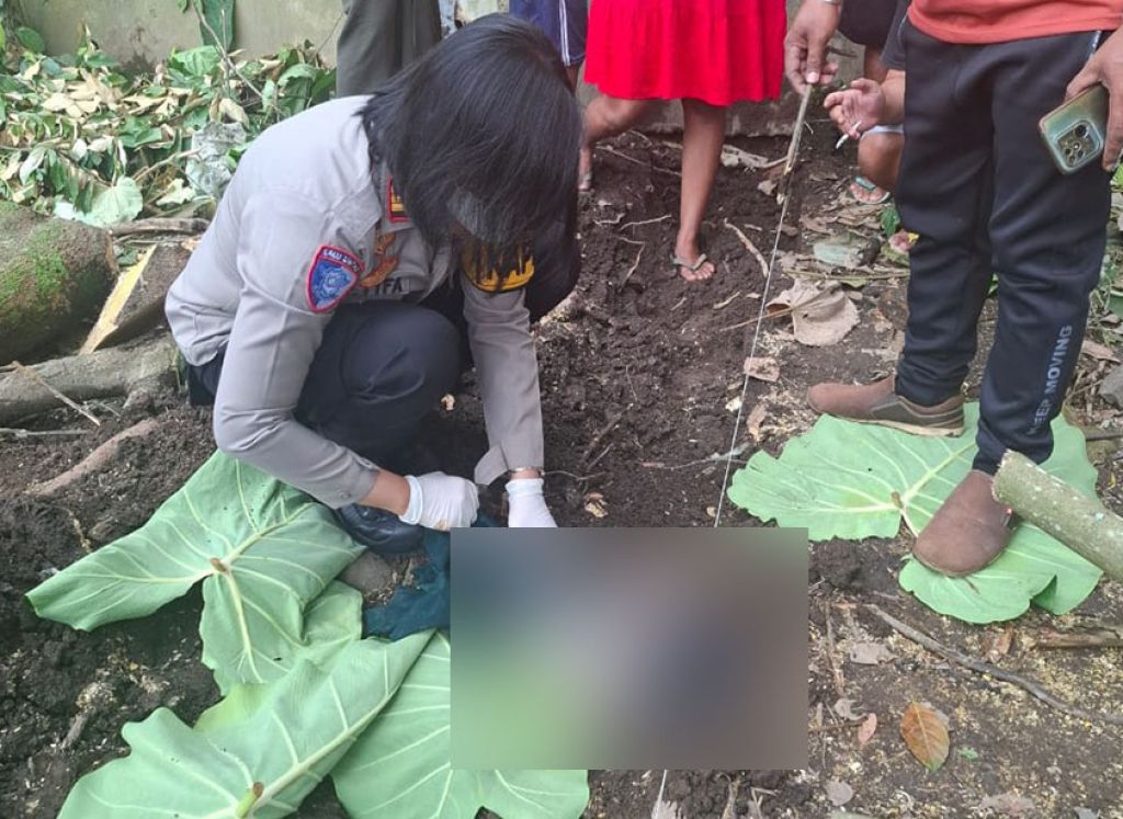 Mayat Bayi Ditemukan Terkubur dalam Lahan Kosong di Ambulu, Jember