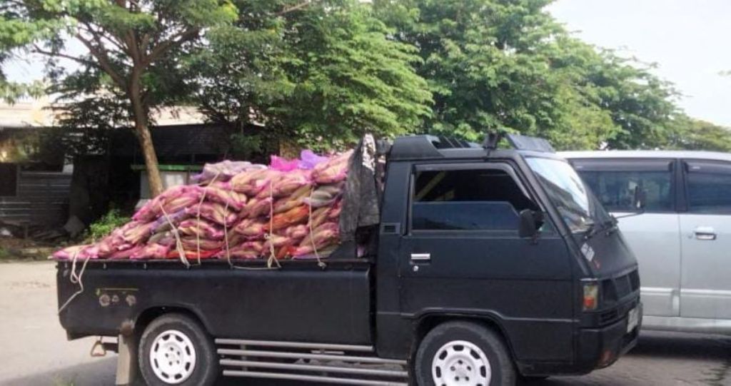 Jelang Malam Pergantian Tahun, Penjualan Jagung Segar dan Arang di Surabaya Meningkat