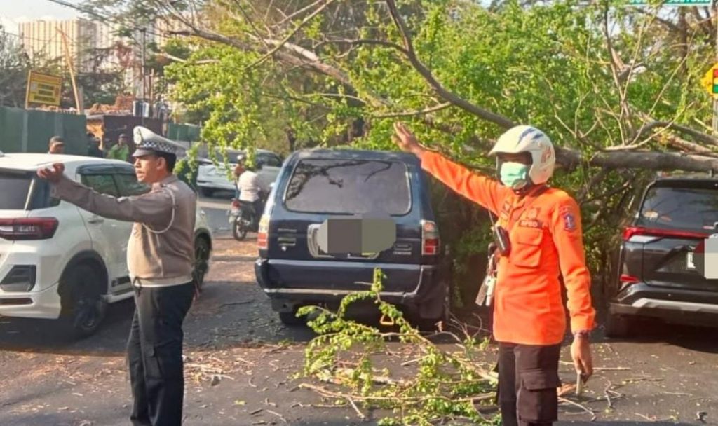Pohon Tumbang Timpa Dua Mobil di Jalan Merr Surabaya