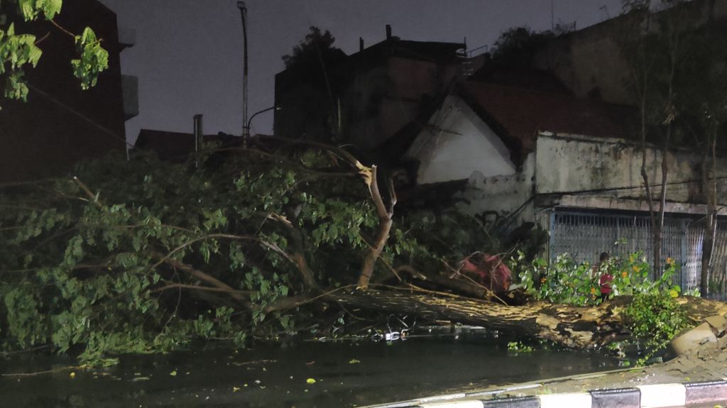 Daftar 23 Lokasi Pohon Tumbang di Surabaya Akibat Terjangan Angin Kencang