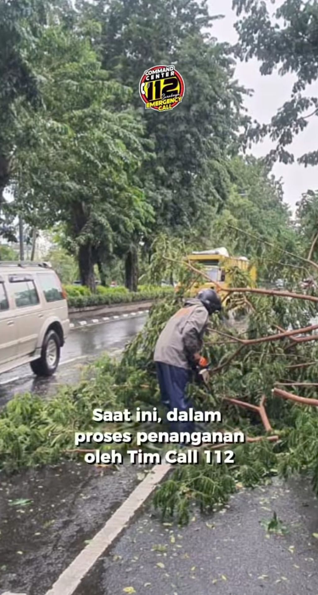 Pohon Tumbang di Jalan Ahmad Yani Surabaya, Pengendara Diimbau Cari Jalur Alternatif