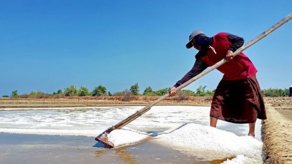 Produksi Garam di Sumenep Naik 17 Ribu Ton