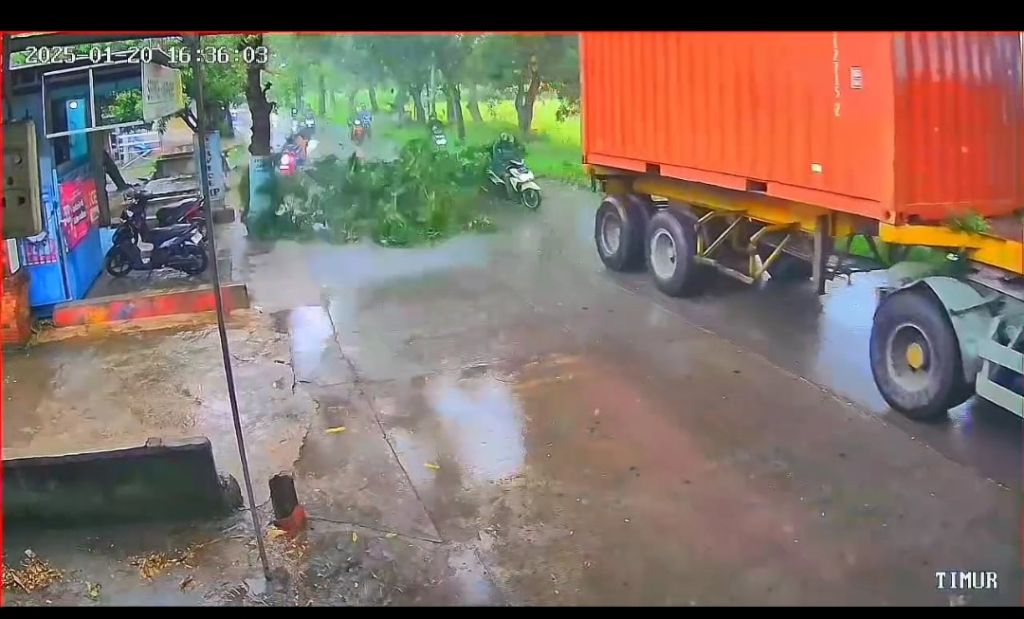 Pohon Tertabrak Trailer, Ranting Menimpa Pemotor di Mojokerto