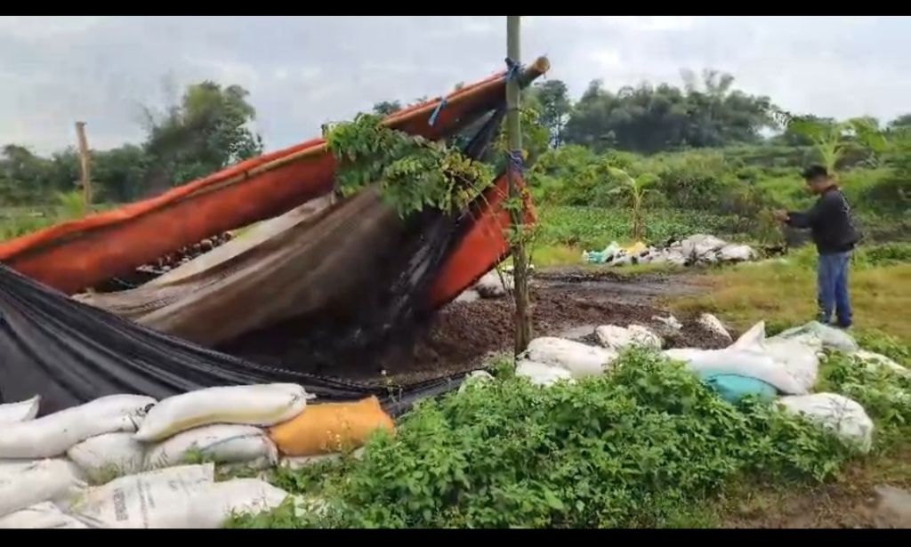 DLH Turun Tangan Tanggapi Keluhan Warga Soal Bau Menyengat Limbah Ternak di Mojokerto