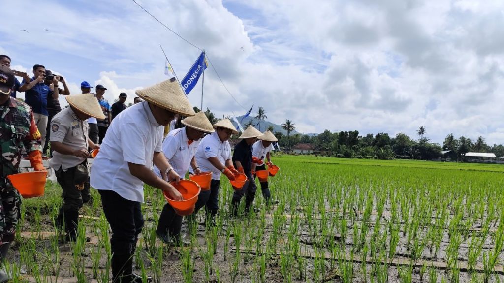 Kejar Target Musim Tanam Awal 2025, Pupuk Subsidi Sudah Tersebar di Jember