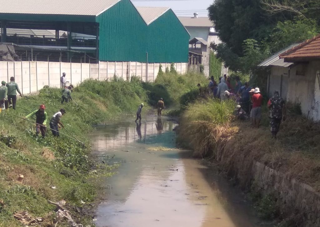 Antisipasi Banjir, Berbagai Elemen Kompak Bersihkan Sungai Wrati Pasuruan