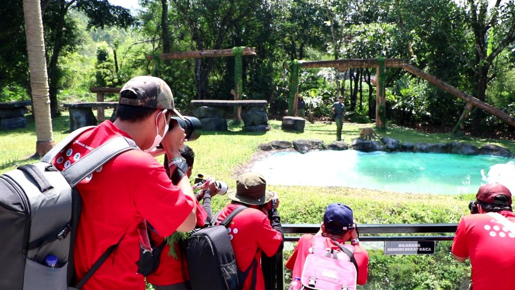 Ayo Ikuti Kompetisi Fotografi IAPVC di Taman Safari Prigen Berhadiah Mobil Listrik