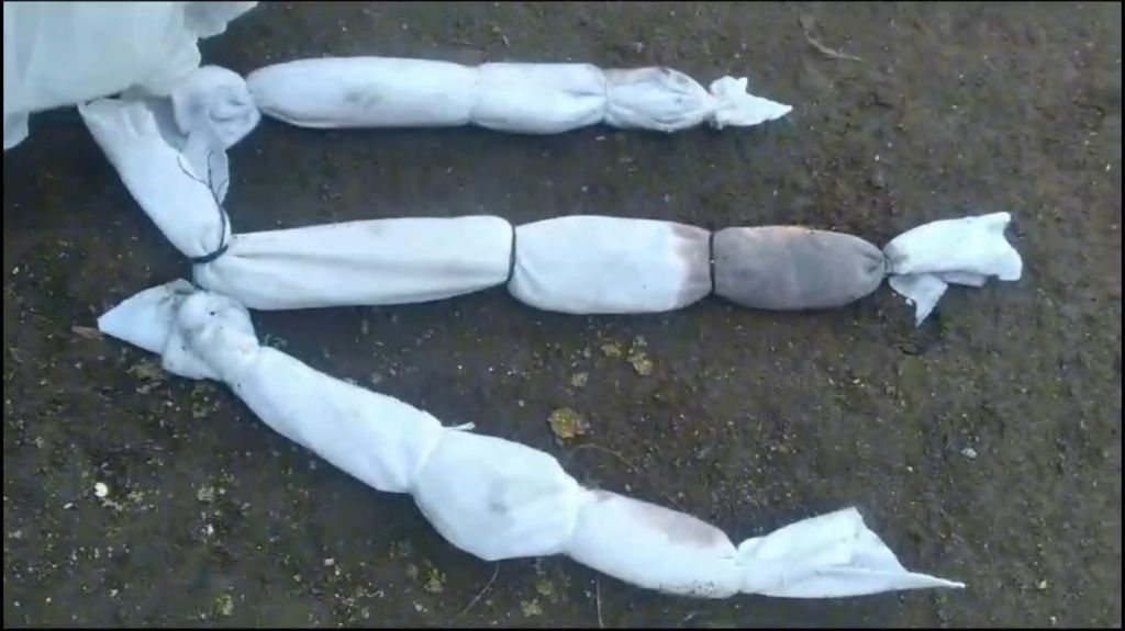 Perjalanan Teror Pocong Mini di Pasuruan