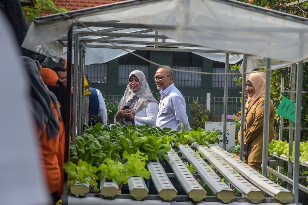 Apresiasi Menko Pangan Zulhas Apresiasi untuk Urban Farming di Surabaya