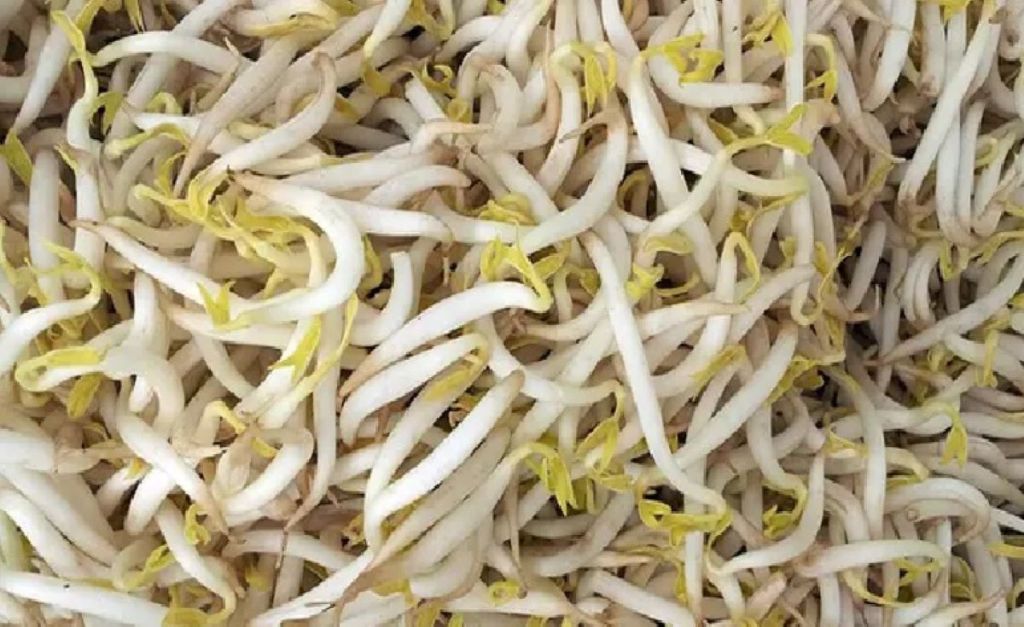 Tujuh Kuliner Kreatif Berbahan Kecambah Sedang Tren di Indonesia