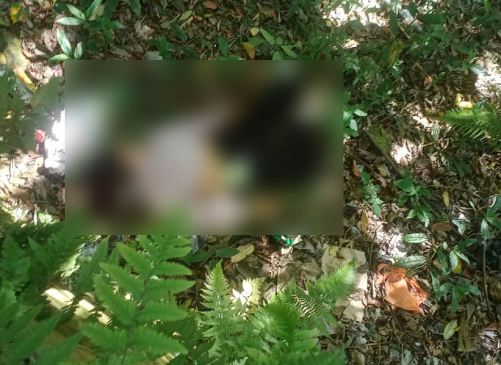 Berita Pembunuhan Wanita Cantik di Hutan Pacet Mojokerto jadi Populer