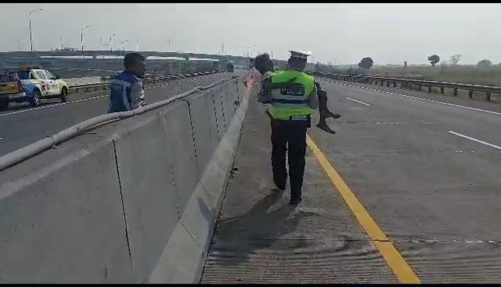 Aksi Heroik Polisi Selamatkan Pria Lansia Tersesat di Tol Surabaya Mojokerto