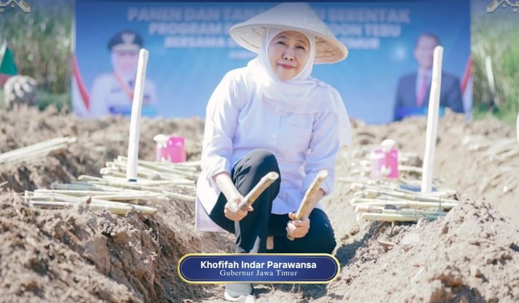 Gubernur Khofifah Pimpin Panen dan Tanam Tebu Serentak Program Bongkar Ratoon di Malang, Genjot Produktivitas dengan Target 54.897 Hektar di Tahun 2026