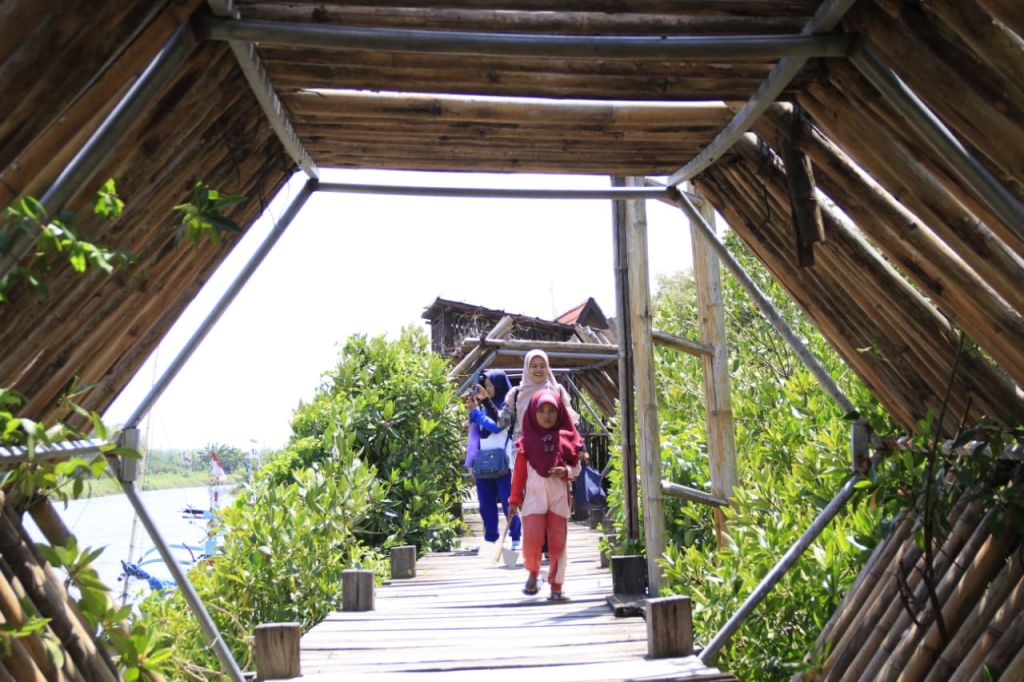 Hore! Wisata Alam Kampung Blekok Situbondo Kembali Dibuka